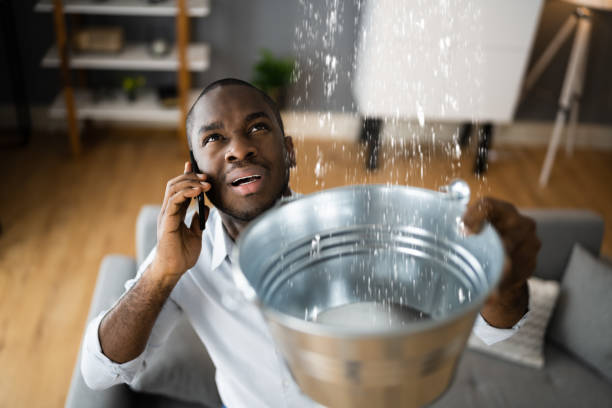 Best Sewage cleanup and water damage restoration  in Roslyn, PA