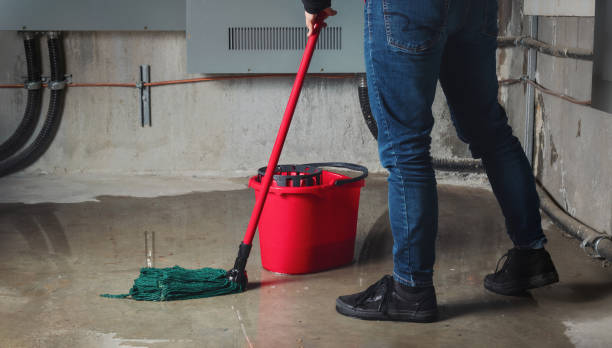 Best Local water damage restoration  in Roslyn, PA