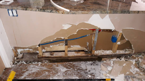 Trusted Roslyn, PA Water damage restoration Experts