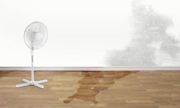  Roslyn, PA Water damage restoration Pros