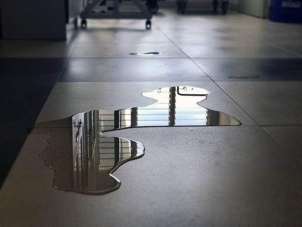 Professional Water damage restoration in Roslyn, PA