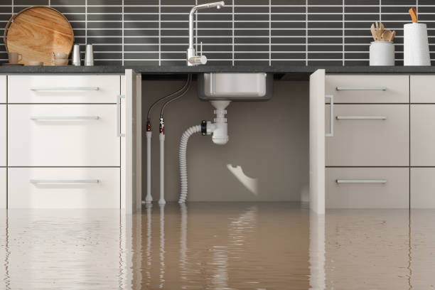 Best Flood restoration services  in Roslyn, PA