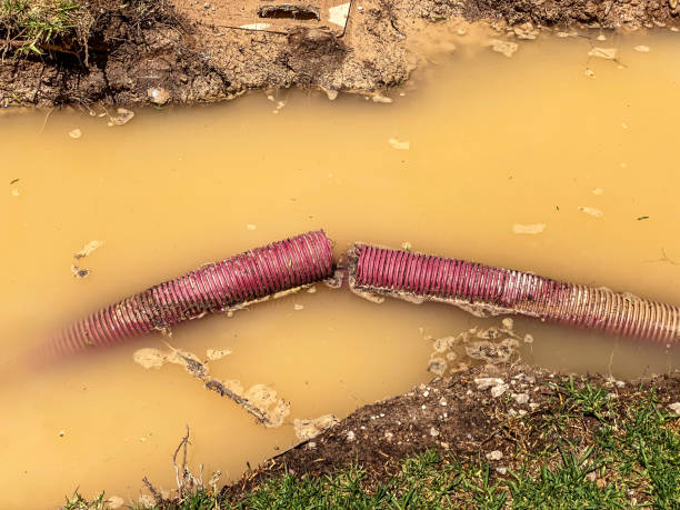 Carpet water damage restoration in Roslyn, PA